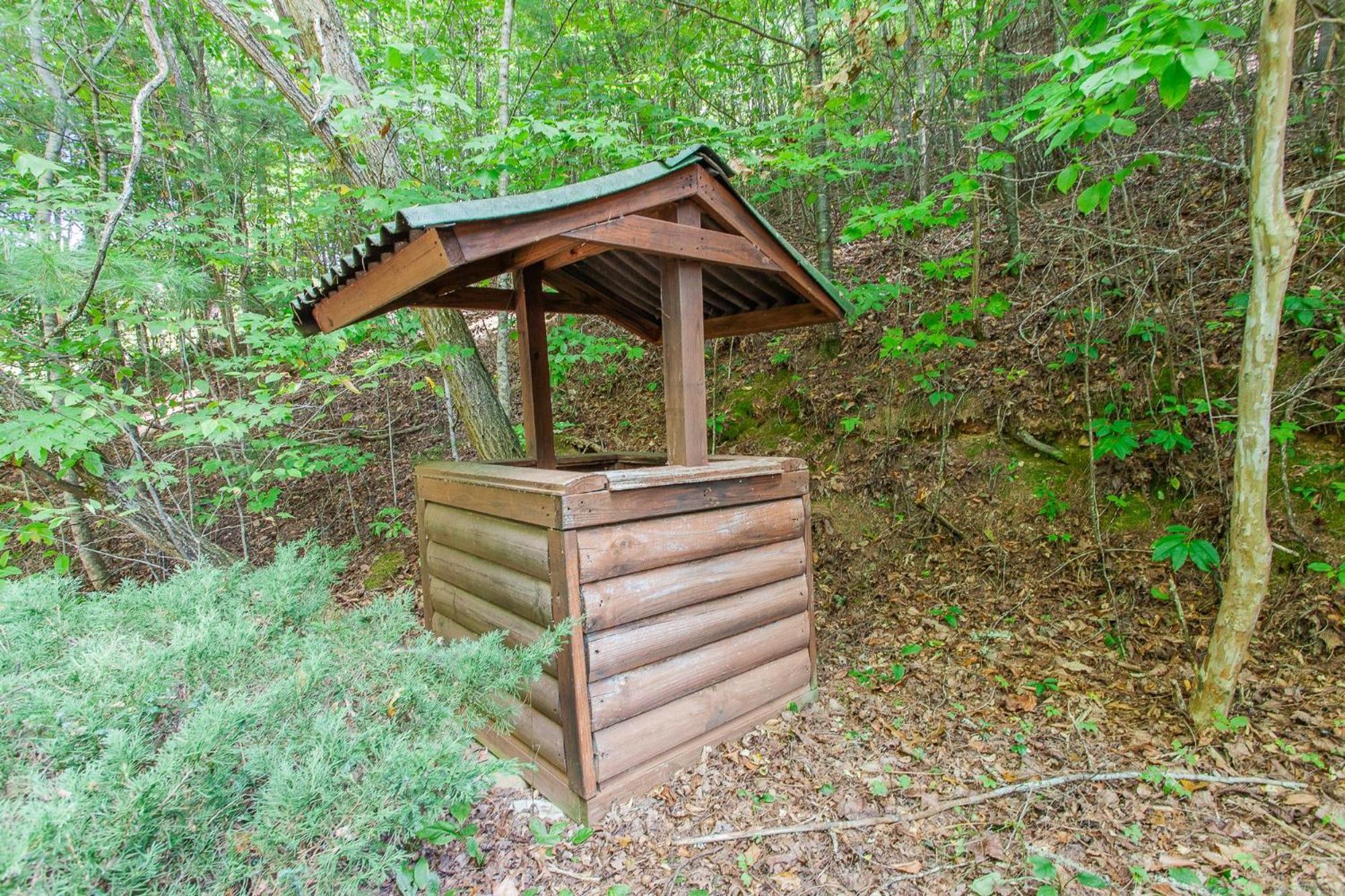 Willa Firefly Way Bryson City Zewnętrze zdjęcie